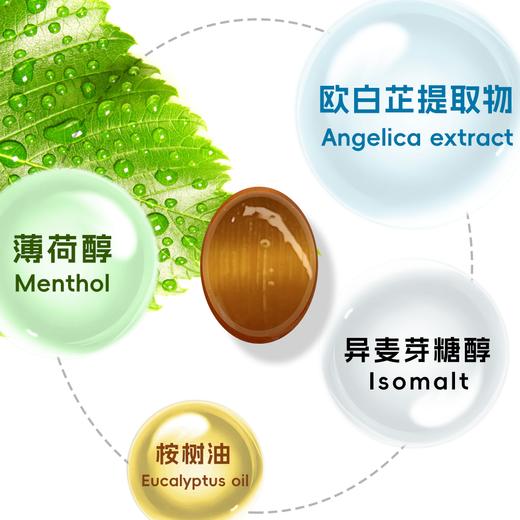 【Romi专属】VOXIS 冰岛欧白芷润喉糖 80g/2/4袋组合 商品图2