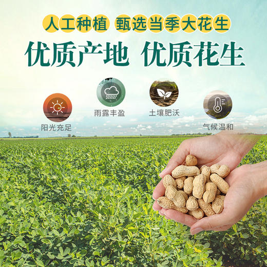 L三山谷花生油2.5L 商品图1