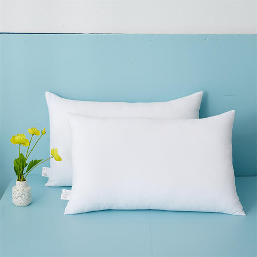 【自营】博洋（BEYOND） 博洋家纺 枕头枕芯单人枕头双人枕家用枕一对成人枕-沪 纤维枕—安眠（对装） 商品图5
