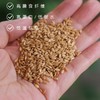 【有机熟亚麻籽粉】风靡欧美的种子循环饮食 不脱脂 不榨油 高膳食纤维 高蛋白 低碳水 低温烘焙 250g/罐 商品缩略图1