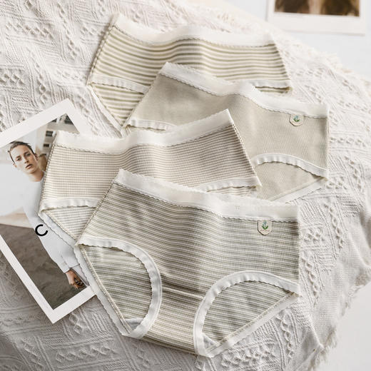 芬腾四季款全棉内裆三角短裤头中腰内裤四条装 A-4152 商品图0