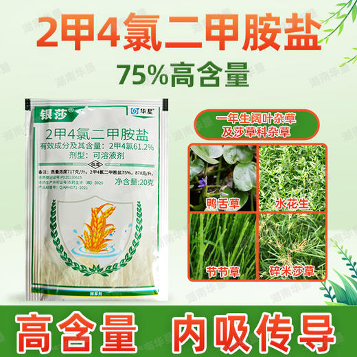 2甲4氯二甲胺盐二甲四氯小麦节节草水花生阔叶专用根烂除草剂农用 商品图2
