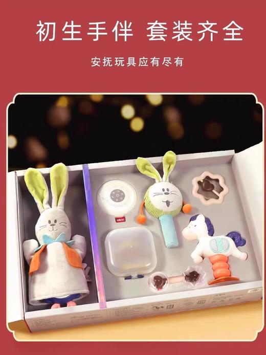 凯驰Z999-350乖乖兔安抚套装 商品图4