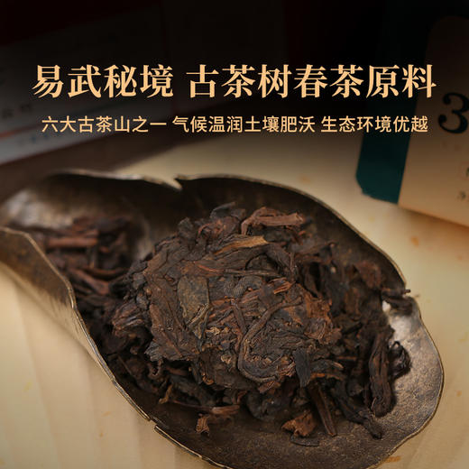 双陈老金标30年陈生茶套装60克/套 商品图2