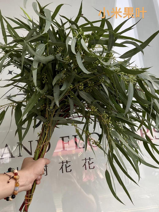 国产花材-【小米果叶】 商品图0
