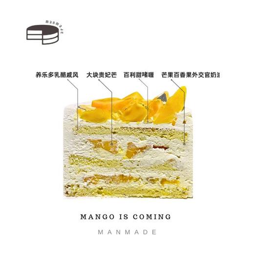 「百利甜芒夏」 商品图1