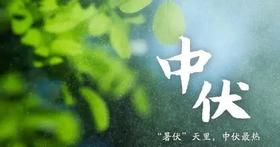  决战黄金20天！六大问题人群，中伏怎样做艾灸？ 