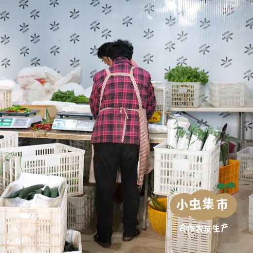 沃野青青生态蔬菜丰产自选包 4斤（1-4种）  | 合作农友生产，产自陕西咸阳，生产者：郑力行*【公平贸易农人定价】 商品图9