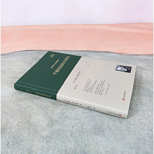 巴别塔诗典：平铺直叙的多样化（纽约派诗人约翰·阿什贝利诗人毕生诗歌创作精华，跨度从1956年到2016年，旅美诗人和翻译家张耳精心编选倾情翻译） 商品图2