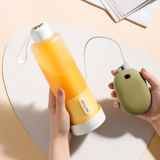 【自营】德世朗榨汁机家用小型便携水果电动榨汁杯果汁机迷你多功能炸果汁 纯白 商品图10