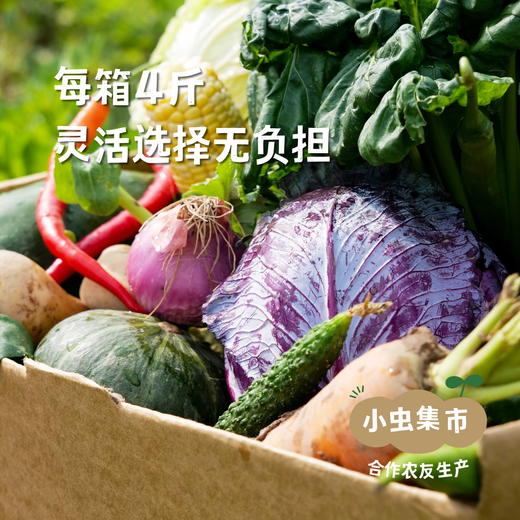 沃野青青生态蔬菜丰产自选包 4斤（1-4种）  | 合作农友生产，产自陕西咸阳，生产者：郑力行*【公平贸易农人定价】 商品图1