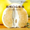 梅州白心蜜柚•泊心风物 商品缩略图0