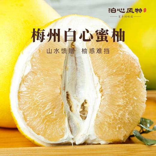 梅州白心蜜柚•泊心风物 商品图0