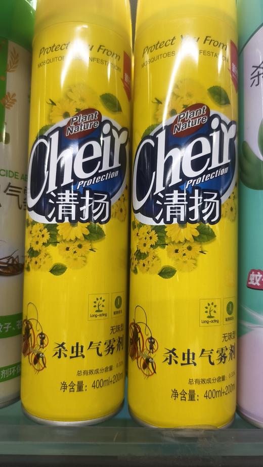 清扬杀虫剂加量装（无味杀蟑型）400ml+200ml(门店自提) 商品图0