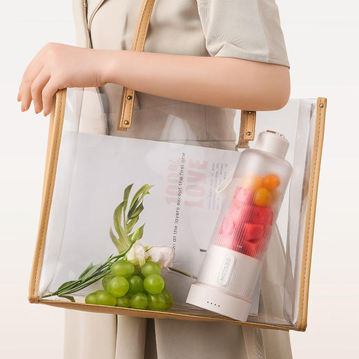 【自营】德世朗榨汁机家用小型便携水果电动榨汁杯果汁机迷你多功能炸果汁 纯白 商品图8