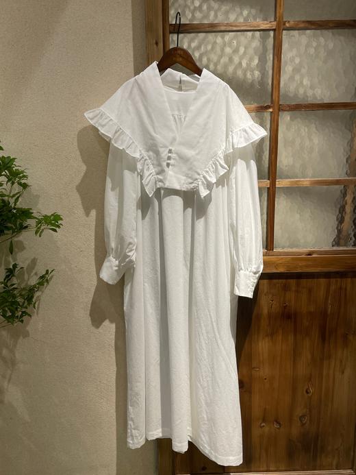 The last flower of the afternoon 商品图10