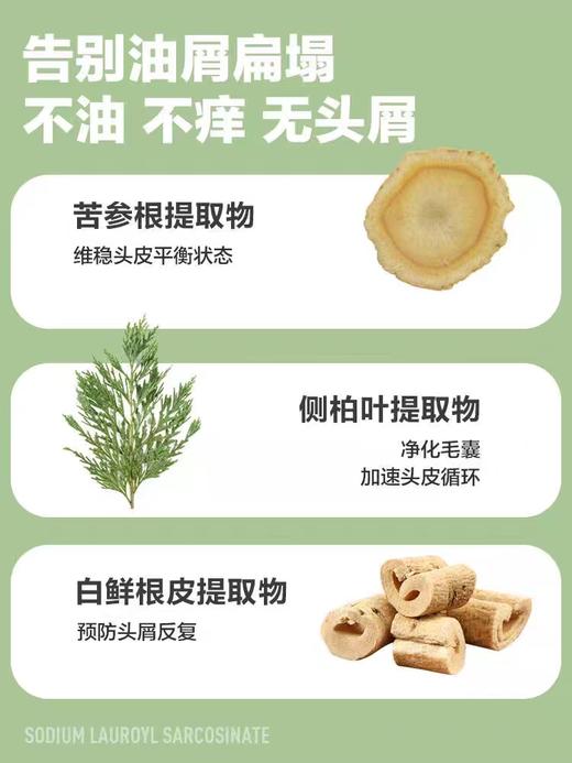 柏缇茶树去屑洗发露650ml 商品图1