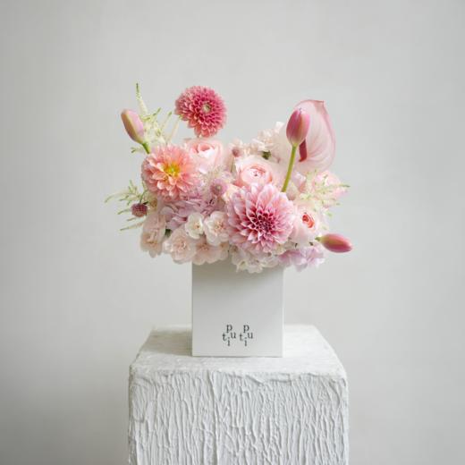 爱意拂晓 Before Sunrise-小号 商品图0