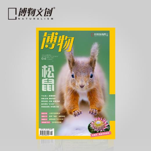 博物杂志 2024年4月刊 松鼠主题  精美大拉页 博物大学 青少年科普杂志 商品图0