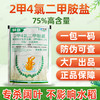 2甲4氯二甲胺盐二甲四氯小麦节节草水花生阔叶专用根烂除草剂农用 商品缩略图4