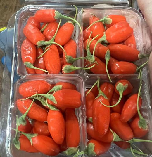 空运鲜枸杞（165g） 商品图0