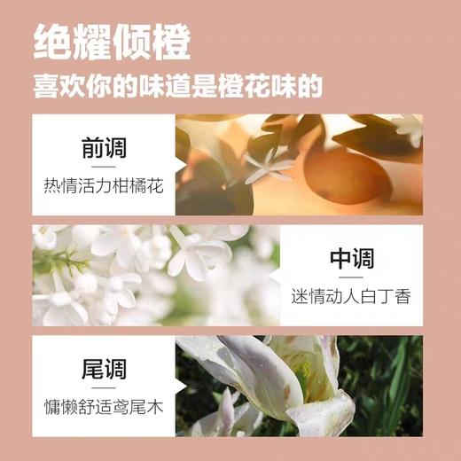 柏缇郁金香滋润洗发露780ml 商品图1