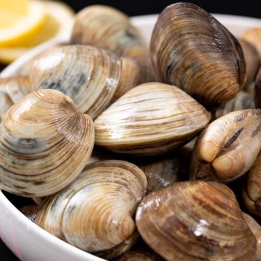 【盟友精选】美贝 |6斤 |鲜活捕捞 人工挑选 个头匀称！京东包邮！青海/新疆/西藏/内蒙古/海南以及部分市区不发货（东三省建议发顺丰，顺丰加10元） 商品图0