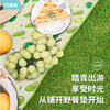 凯速便携防水防潮野餐垫QSH 商品缩略图1
