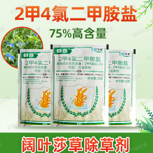 2甲4氯二甲胺盐二甲四氯小麦节节草水花生阔叶专用根烂除草剂农用 商品图3