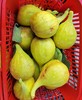 周五取货：【黄金无花果】一篮1.5斤左右，浓甜，淡香，营养丰富！ 商品缩略图2