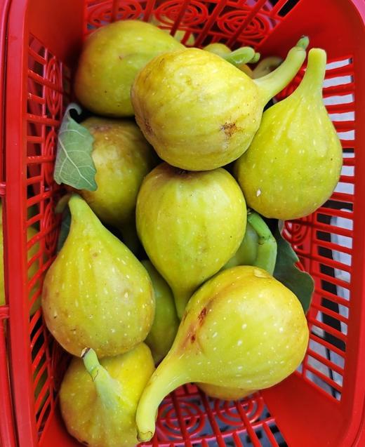 周五取货：【黄金无花果】一篮1.5斤左右，浓甜，淡香，营养丰富！ 商品图2