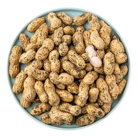 鲜花生（约500g）