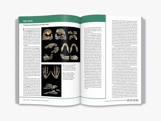 The Human Past:World Prehistory and the Development of Human Societies ...