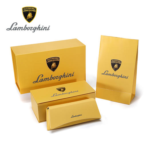 兰博基尼Lamborghini 攀登者 Climber5312户外高清变色镜双镜片近视眼镜 商品图6