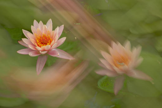 越南湄公河睡莲季——越南胡志明、安隆睡莲、芽庄、富安、顺化、河内人文风情三飞9天——14天（越南南部海岸风景+河内下龙湾+北部沙坝度假胜地） 商品图9