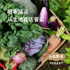 沃野青青生态蔬菜丰产自选包 4斤（1-4种）  | 合作农友生产，产自陕西咸阳，生产者：郑力行*【公平贸易农人定价】 商品缩略图4