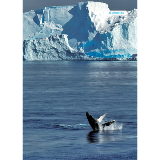《极地探秘》 商品图9