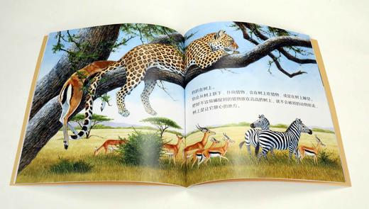 2024科学之友全系列 科学之友·世界运转的秘密8册(3-6岁) 商品图7