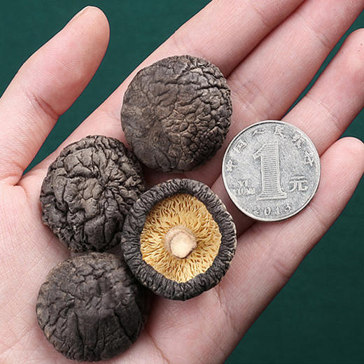 L神农唛精选金钱菇180g 商品图3