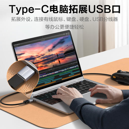 品胜 Type-C2.0 OTG转接头 电脑笔记本可用即插即用 商品图4