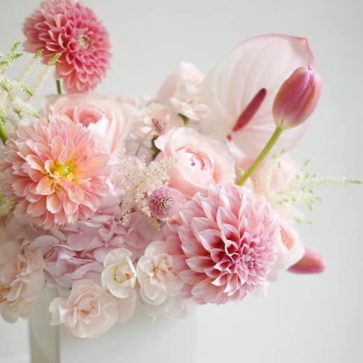 爱意拂晓 Before Sunrise-小号 商品图1