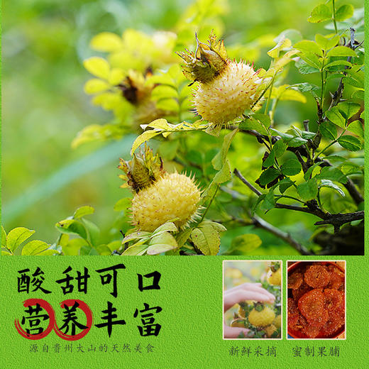 L果夫派刺梨干148g 商品图1