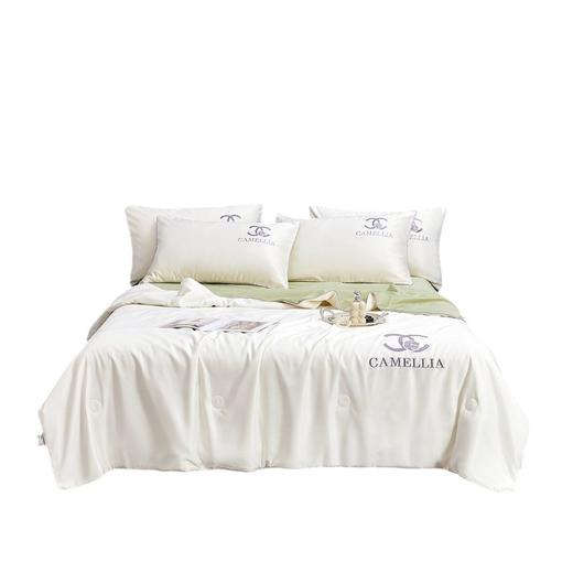 【恣意~生活的仪式感，水洗冰丝夏被四件套刺绣系列】水洗冰丝夏被四件套 凉感单双人空调被 夏凉被 薄被床品套件-QQ 商品图4