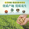 L三山谷花生油5L 商品缩略图1