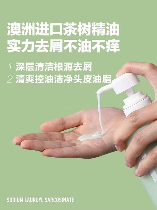 柏缇茶树去屑洗发露650ml 商品图2