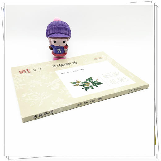 伤寒学派 陈博 傅睿 竹剑平 编著 《浙派中医丛书》专题系列 中国中医药出版社 商品图2