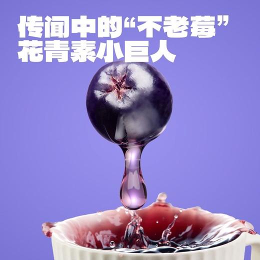 老金磨方 桑葚五黑茶 100g/袋 商品图2
