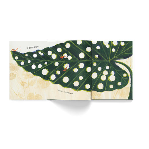 虫虫艺术家 商品图2