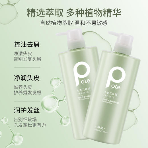 柏缇小苍兰控油去屑洗发露800ml 商品图4
