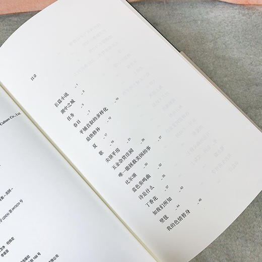 巴别塔诗典：平铺直叙的多样化（纽约派诗人约翰·阿什贝利诗人毕生诗歌创作精华，跨度从1956年到2016年，旅美诗人和翻译家张耳精心编选倾情翻译） 商品图5